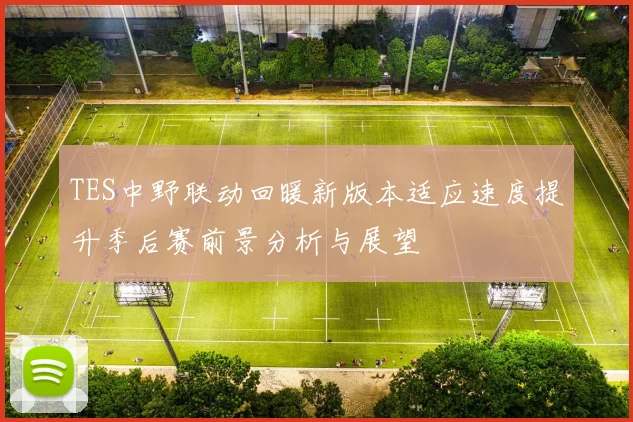 TES中野联动回暖新版本适应速度提升季后赛前景分析与展望