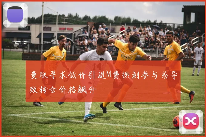 曼联寻求低价引进M费热刺参与或导致转会价格飙升